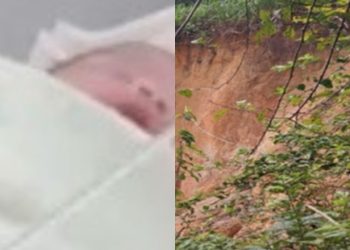 Mãe que jogou recém-nascido pela janela responderá por tentativa de infanticídio