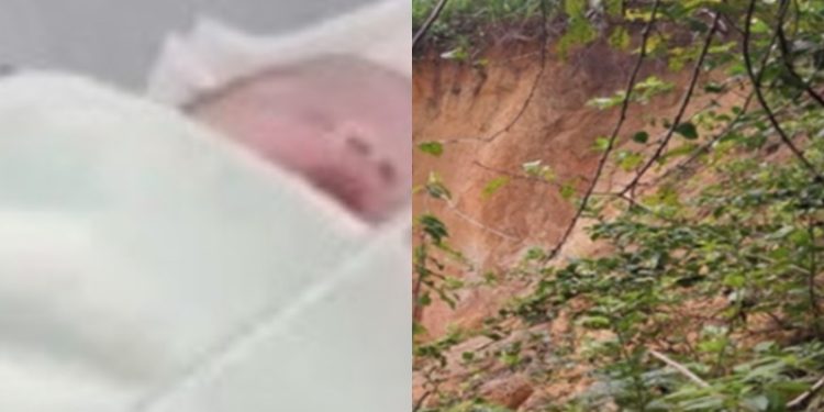 Mãe que jogou recém-nascido pela janela responderá por tentativa de infanticídio