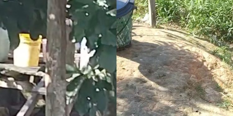 Homem é flagrado estuprando cadela em Tefé