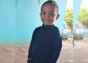 Criança morre após 33 paradas cardíacas causadas por picada de escorpião