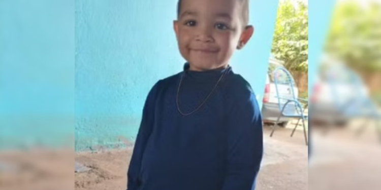 Criança morre após 33 paradas cardíacas causadas por picada de escorpião