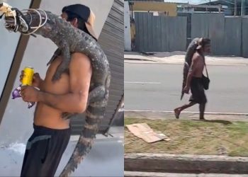 Morador de rua chama atenção ao ser visto carregando jacaré no bairro Planalto; veja o vídeo