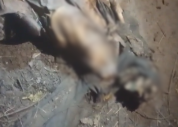 Homem desaparecido há 16 dias é encontrado morto em Manaus