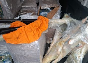 Polícia apreende sete fuzis e meia tonelada de maconha em operação no Educandos
