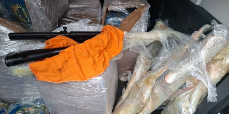 Polícia apreende sete fuzis e meia tonelada de maconha em operação no Educandos