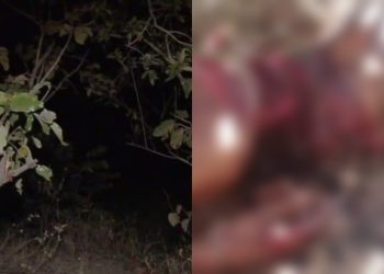 Homem é assassinado com golpes de facão em zona rural do Piauí; veja o vídeo 