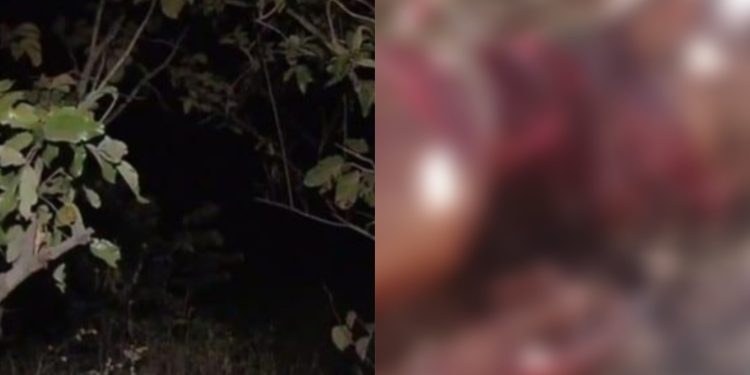 Homem é assassinado com golpes de facão em zona rural do Piauí; veja o vídeo 