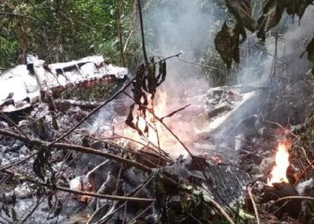 Quatro pessoas morrem após avião cair na Floresta Amazônica