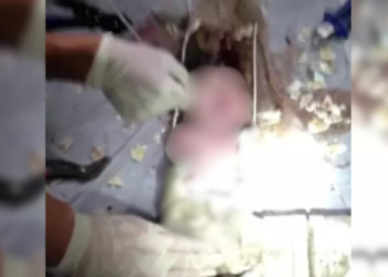 Bebê de 4 meses morre sufocado por tia embriagada