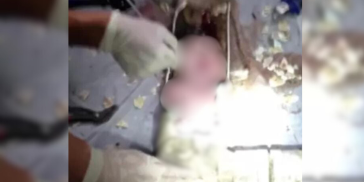 Bebê de 4 meses morre sufocado por tia embriagada