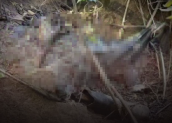 Corpo de homem decapitado é encontrado no terreno de fábrica e choca populares 