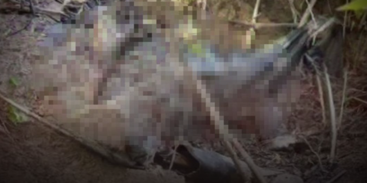 Corpo de homem decapitado é encontrado no terreno de fábrica e choca populares 