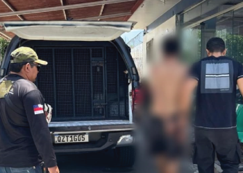 Suspeito é preso por furtar, agredir e matar cachorro