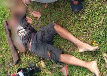 Homem é assassinado a pauladas no interior do AM