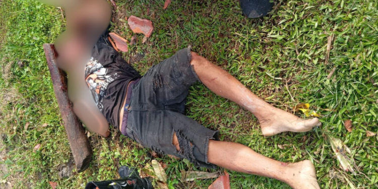 Homem é assassinado a pauladas no interior do AM