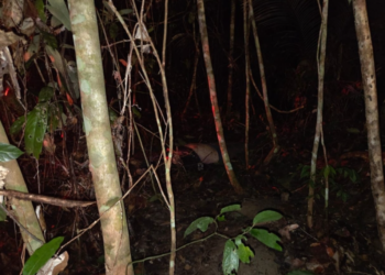 Mototaxista é assaltado e morto durante corrida