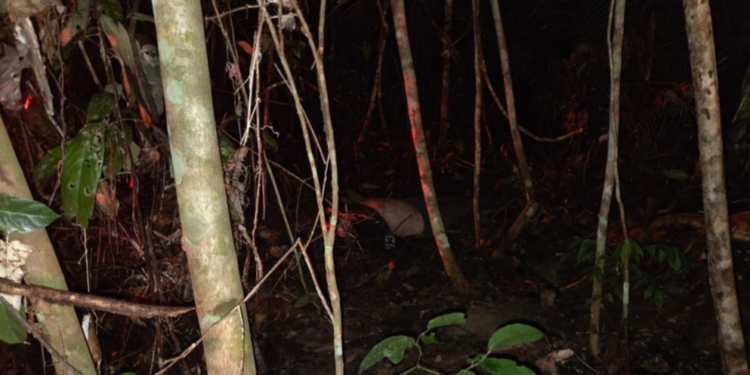 Mototaxista é assaltado e morto durante corrida