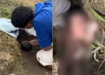 VÍDEO: Bebê recém-nascida é encontrada abandonada em mata