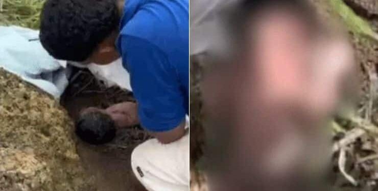 VÍDEO: Bebê recém-nascida é encontrada abandonada em mata