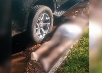 Homem é executado a tiros em zona rural de Parintins