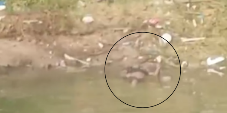 Corpo de homem é encontrado em igarapé do Jorge Teixeira