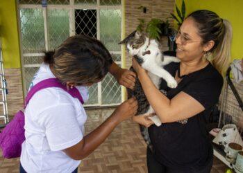 Prefeitura de Manaus leva vacinação antirrábica a protetores e abrigos de animais