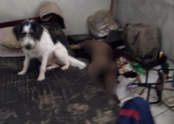 Corpo de homem é encontrado após vizinho sentir forte odor