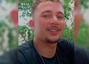 Trabalhador morre após ser atingido por árvore durante poda no interior de Pernambuco