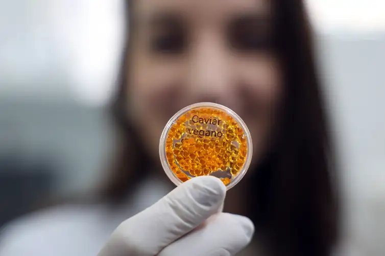 Brasília (DF), 26/05/2026 - O laboratório de nanotecnologia da Embrapa produz em caráter experimental substitutos veganos de carne vermelha, salmão e lula por meio de uma impressora carregada de massa feita do extrato de sementes. Foto: Valter Campanato/Agência Brasil