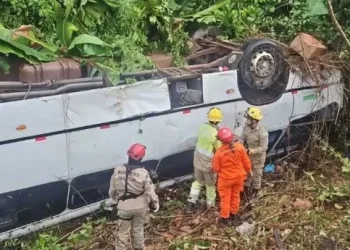 VÍDEO: Micro-ônibus cai em ribanceira na BR-174 e deixa 17 feridos