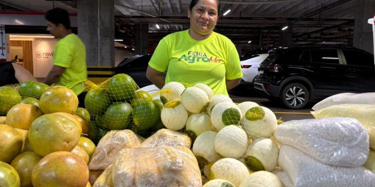 Quinta-feira é dia de feira no Millennium Shopping para quem busca produtos frescos e regionais Quinta-feira é dia de feira no Millennium Shopping para quem busca produtos frescos e regionais
