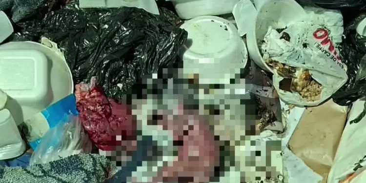 Garis encontram feto em lixeira no Centro de Manaus