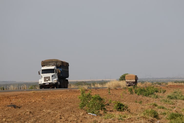 Fernando Frazão/Agência Brasil Balsas (MA), 09/10/2025 – Caminhões circulam na rodovia MA-140 próximo a fazendas de cultivo de soja. Foto: Fernando Frazão/Agência Brasil